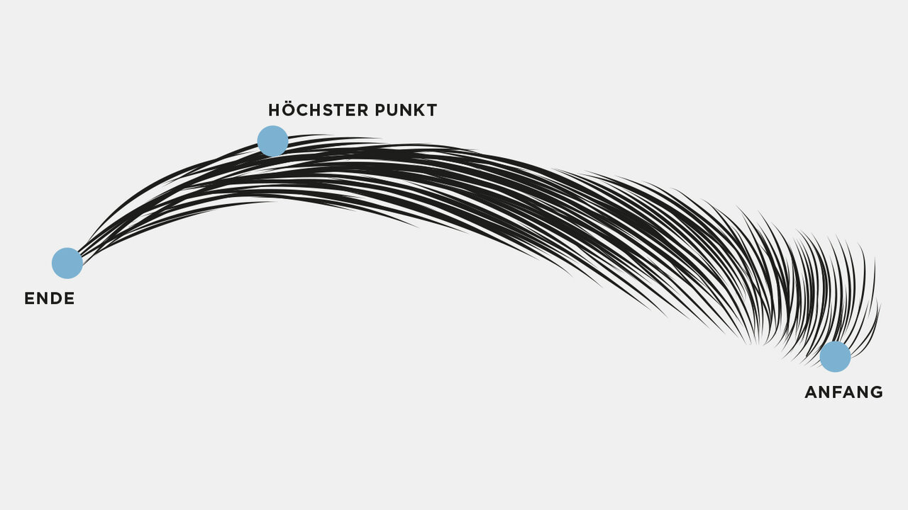 Der höchste Punkt der Augenbraue befindet sich über dem äußeren Rand der Iris Skizze einer Augenbraue. Markiert sind wichtige Punkte: Anfang, Ende und höchster Punkt der Augenbraue