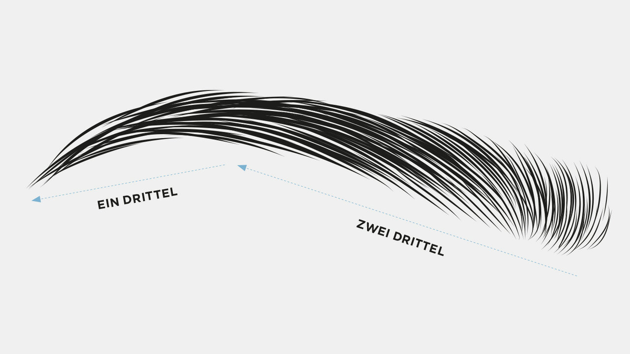 Skizze einer Augenbraue. Markiert sind die Proportionen des Schwungs ab dem zweiten Drittel der Augenbraue